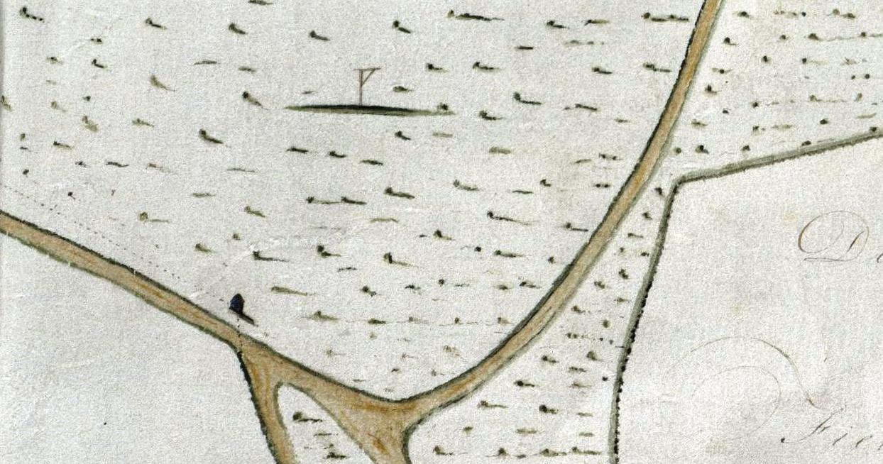 Map of Fairlight Down, 1795  (The Keep, BAT/5/20/4433)
